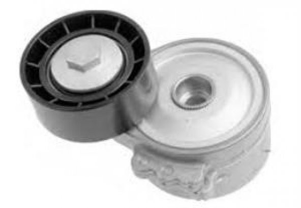 CİTROEN JUMPY  ALTERNATÖR GERGİ RULMANI KOMPLE      5751.94
