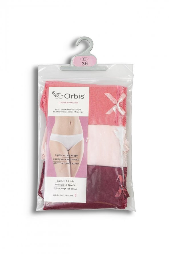 Kadın Asorti Renkli Düz 3lü Külot 3138 - 5