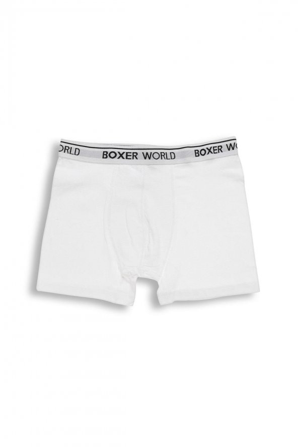 3lü Erkek  Likralı Boxer 14100-B3 - 7