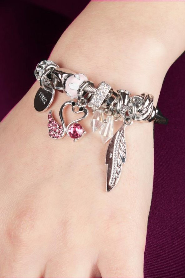 Zariass Charm X - 2