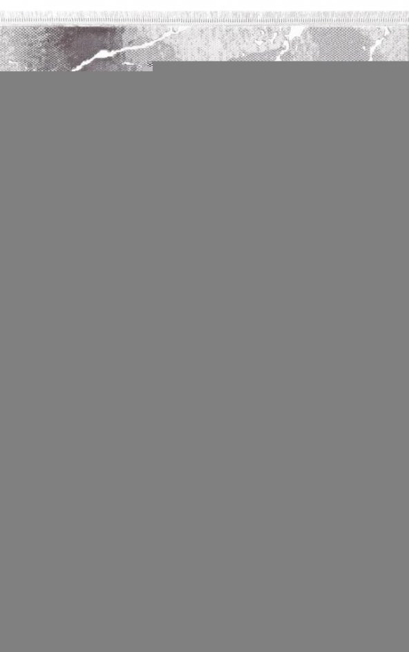 PADİŞAH HALI PLATİN SERİSİ 012_030