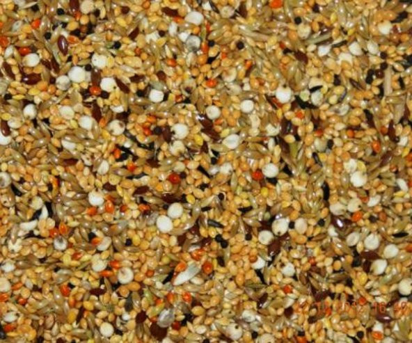 Hint Bülbülü Yemi 5Kg  ÜCRETSİZ KARGO