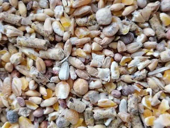 14 Çeşit Gezen Tavuk Karma Yemi 25 kg