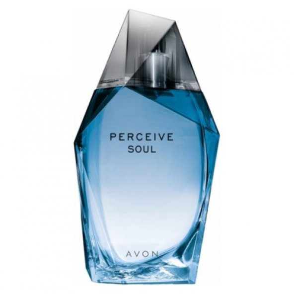 Avon Perceive Soul Erkek Parfümü 100 ml