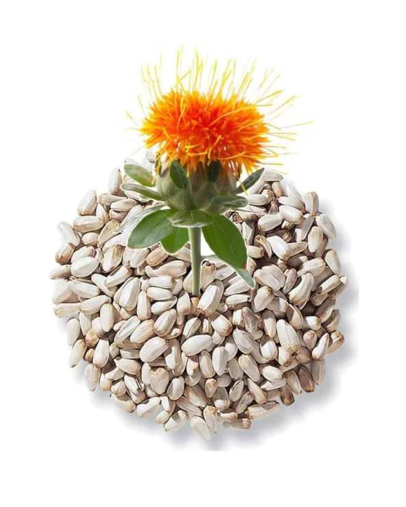 Balen Aspir Tohumu Yağı (Soğuk Pres) 50 ml - Resim 2