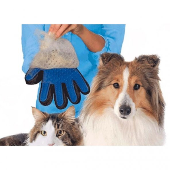 Tüy Toplama Eldiveni - 3