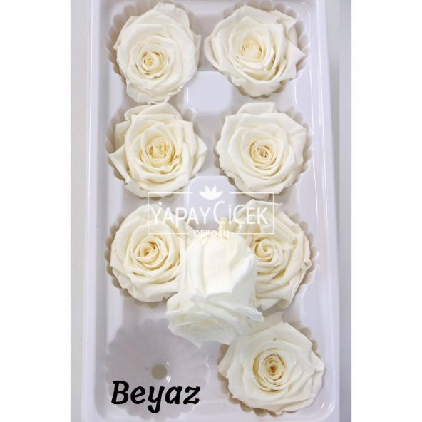 Şoklanmış Solmaz Gül 8li Paket 6 Renk - 3