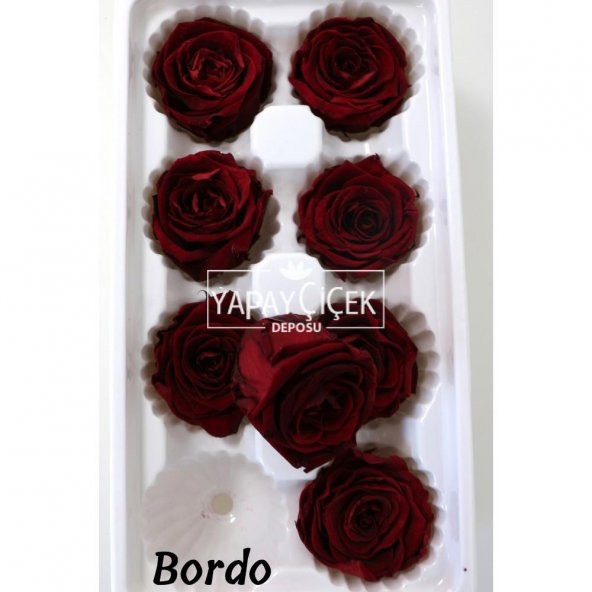 Şoklanmış Solmaz Gül 8li Paket 6 Renk - 4