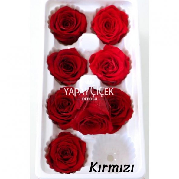 Şoklanmış Solmaz Gül 8li Paket 6 Renk - 6