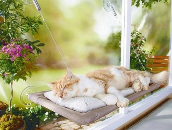 Cama Yapışan Kedi Yatağı Sunny Seat
