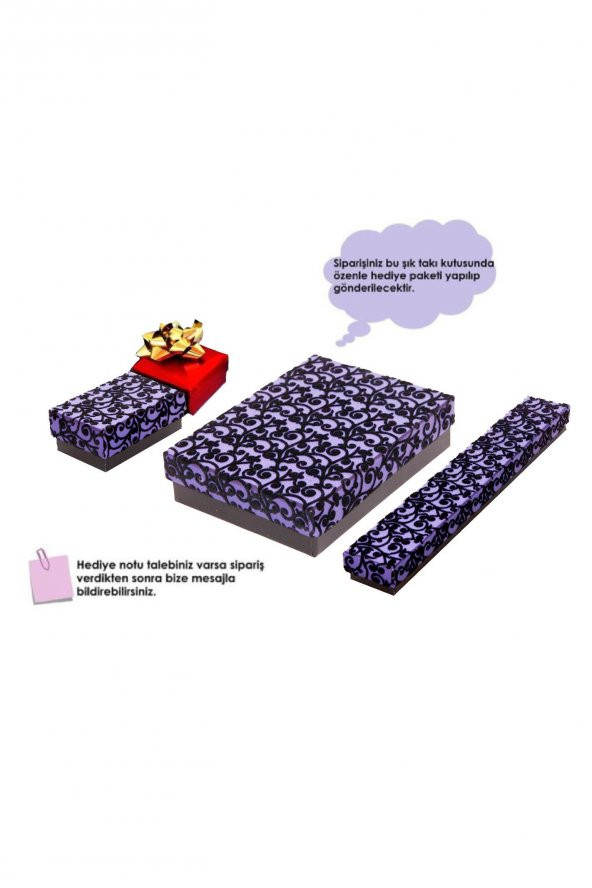 Gümüş Bayan Kolye Zirkon Taşlı Bayan Gümüş Kolye Küpe Seti - 4