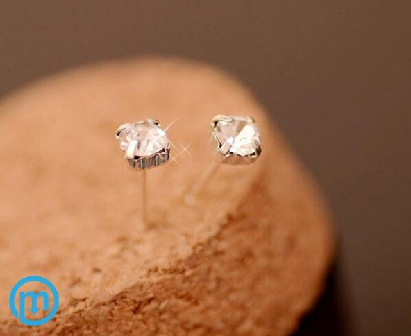 Nokta Taşlı Saplamalı Kadın Küpe - 2