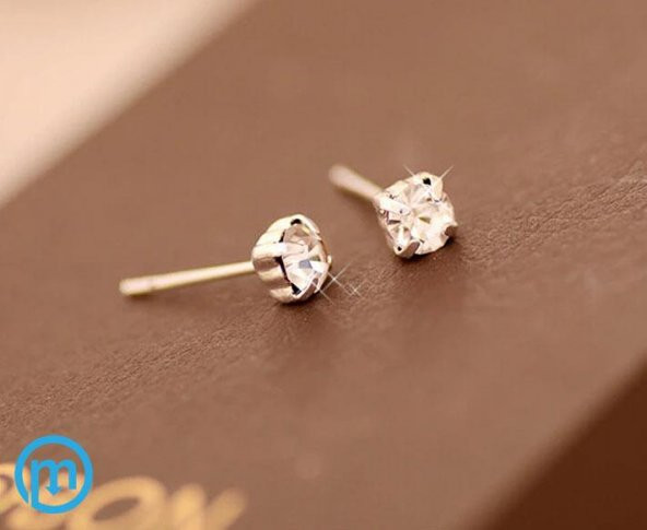 Nokta Taşlı Saplamalı Kadın Küpe - 3