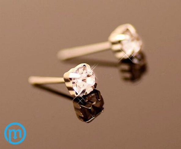 Nokta Taşlı Saplamalı Kadın Küpe - 4