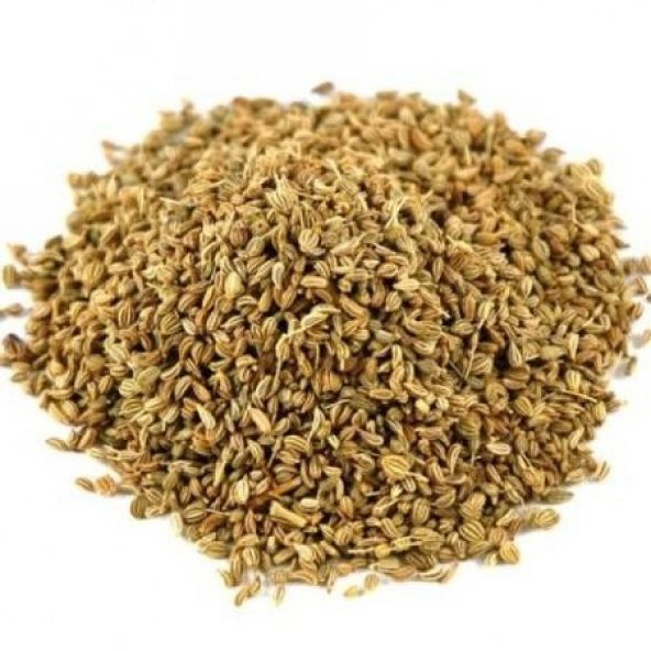 MAYDANOZ TOHUMU 100 GR 1. KALİTE