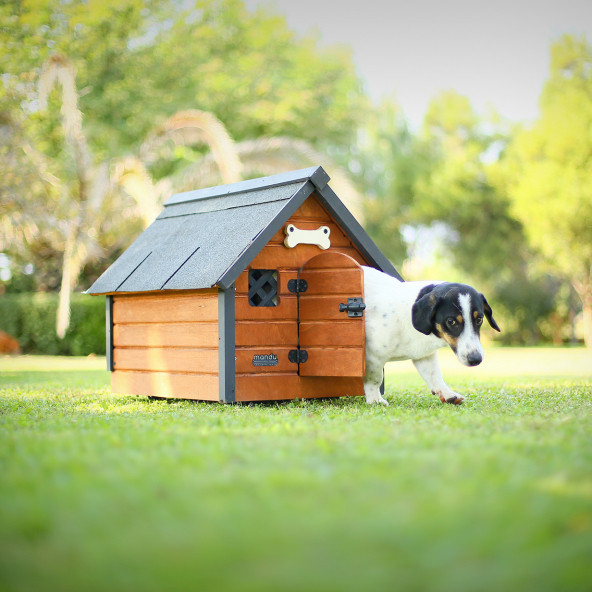 MANDU Isı yalıtımlı ahşap kedi-köpek kulübesi (SMALL) - 2
