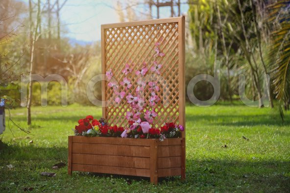 MANDU Ahşap Sarmaşık Saksı