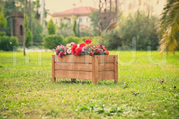 MANDU 64x23 Dekoratif Ahşap Saksı - 3