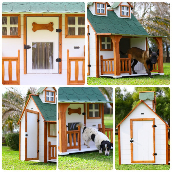 MANDU Ultra lüks Ahşap Köpek Kulübesi (evi) - 6