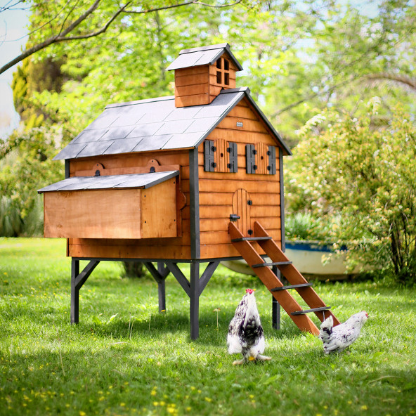 Mandu Ahşap Tavuk Kümesi (Maks.16 Tavuk)