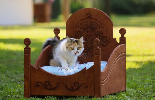 MANDU AHŞAP LÜKS KEDİ YATAĞI - 2