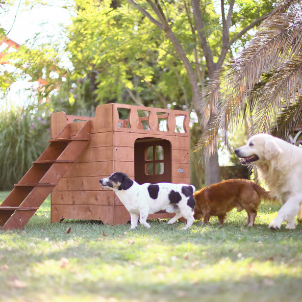 Mandu Ahşap Dublex Köpek Kulübesi (Teraslı) - 2