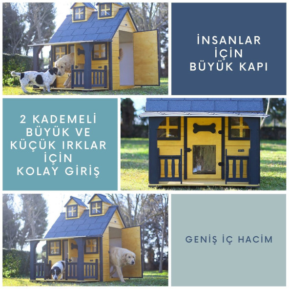 MANDU Ultra Lüks Ahşap Köpek Kulübesi (evi) GOLD EDİTİON - 4