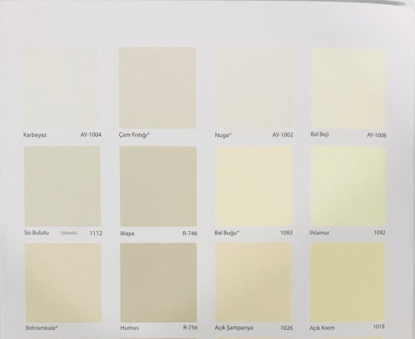 DYO TEKNOPLAST TEFLONLU İÇ CEPHE BOYASI 15 LT (TÜM RENKLER) - 7