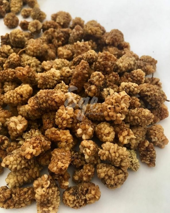 Yeni Mahsül Dut Kurusu (500 gr)