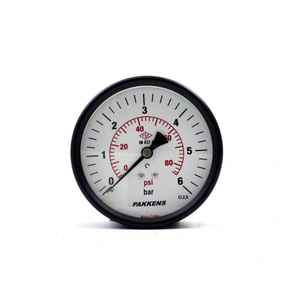 Pakkens 0-6 Bar 100 mm Arkadan Bağlantılı Kuru Manometre G 1/4 inç
