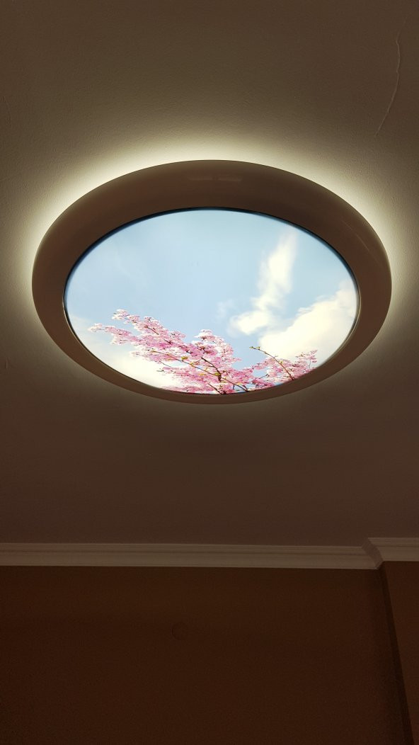 Farklı desen Hazır Gergi Tavan Dekorasyon & Aydınlatma Modelleri LED - 4