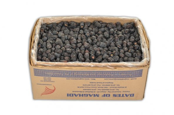 Haremhac Medine Acve Hurması ( Aliye Acvesi Peygamber Hurması ) - 2