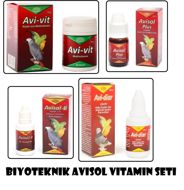 Biyoteknik Avisol Vitamin Seti 4Lü