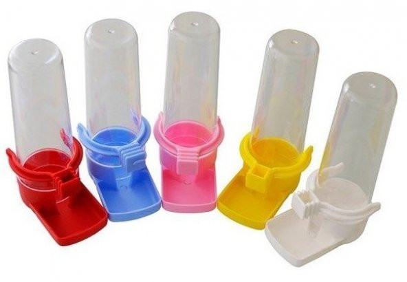 Muhabbet Kuşu Suluk