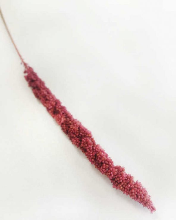 Çiçek Doğal Steria Boncuk Pembe (100 Gram) 1 Demet Fiyatıdır - 2