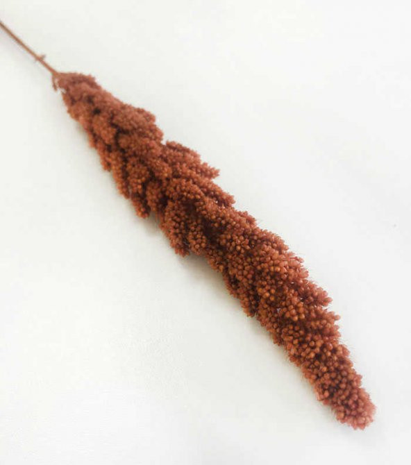 Çiçek Doğal Steria Boncuk Mor (100 Gram) 1 Demet Fiyatıdır - 2