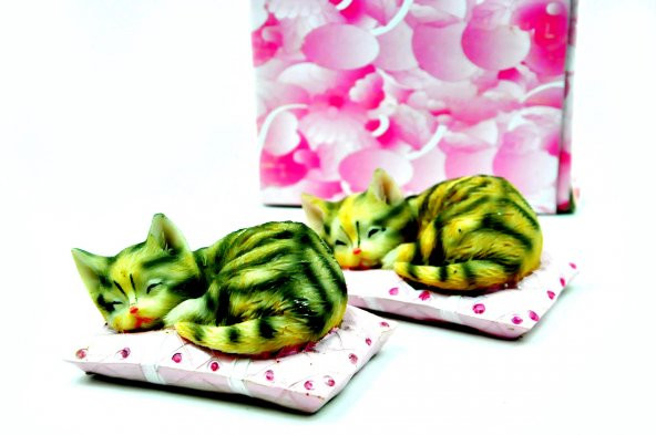 Pologift Polyester Dekoratif İkili Minderde Uyuyan Kedi Obje - Resim 4