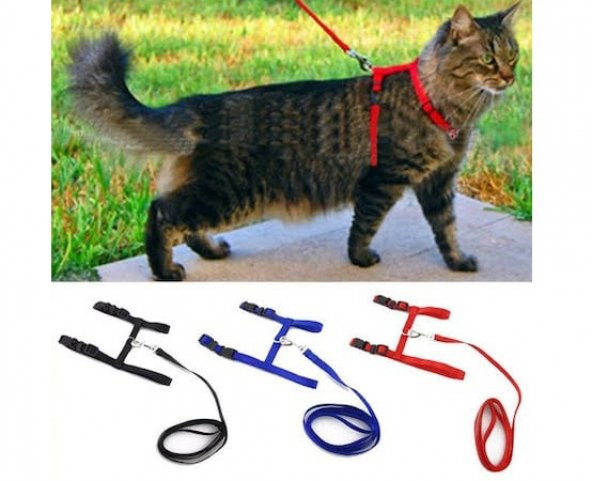 Ayarlanabilir Kedi Tasması 120 cm (4 Renk) - 2