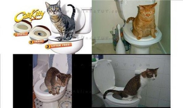 Citi Kitty Kedi Kumu Tuvaleti Açık Klozet Alıştırma Eğitim Seti - 3
