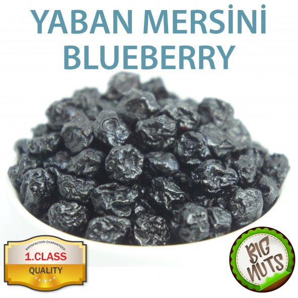 Blueberry Orjinal Mavi Yaban Mersini 250 Gr 500 Gr 1 Kg Big Nuts