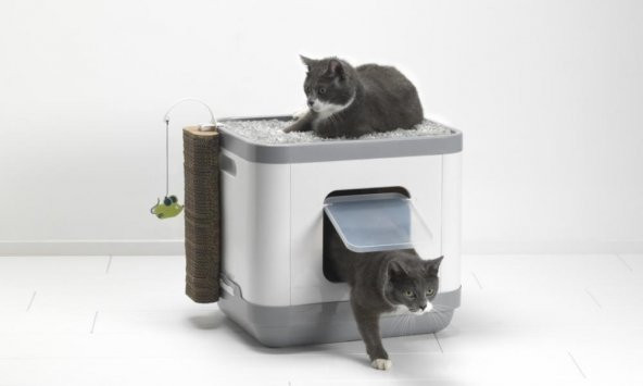 Moderna Cat Consept Kedi Evi Tuvalet ve Tırmalama Tahtası