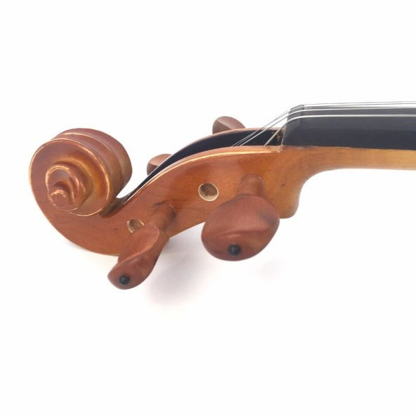 KINGLOS KNG PJA-1003 3/4 ÖĞRENCİ KEMANI MAT 3/4 KUTULU, ÖN LADİN, ARKA VE  ÖĞRENCİ KEMANI MAT 3/4 KUTULU, ÖN LADİN, ARKA VE YANLAR MAPLE (AKÇAAĞAAÇ), KLAVYE ABANOZ, KULAKLAR VE KUYRUK İLE ÇENELİK  JUJUBE - Resim 3