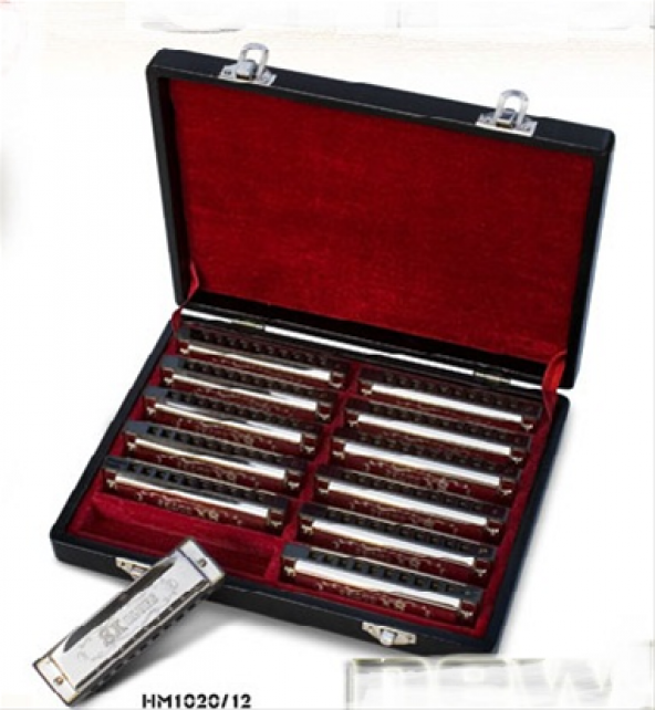 VALENCIA HM1020-12 MIZIKA SET 12' Lİ MIZIKA SET 12 Lİ: