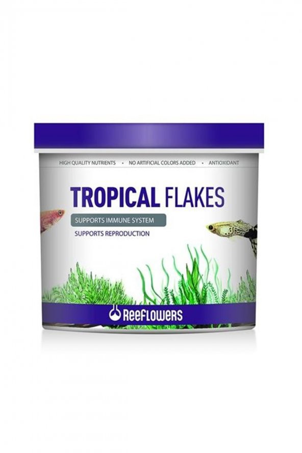 ReeFlowers Tropical Flakes Balık Yemi 8 Lt