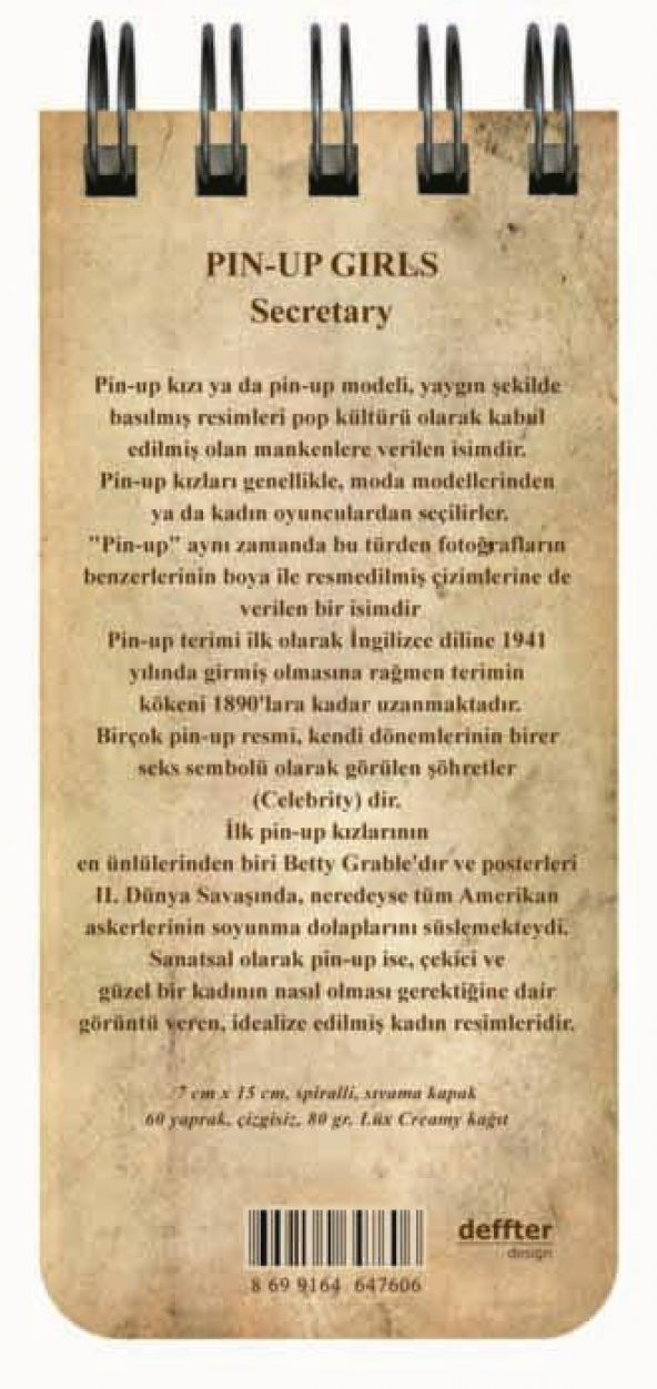 Pin-Up Kızları / Sekreter - 2