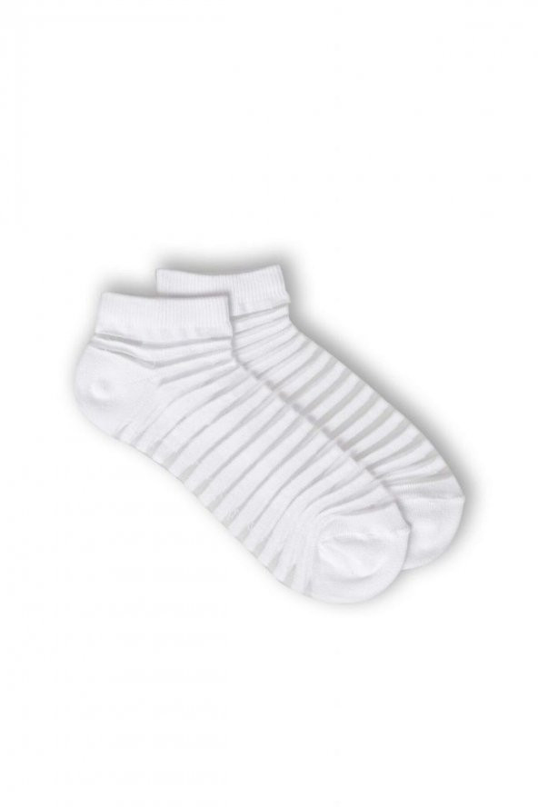 3lü Kadın İnce Çizgili  Çorap 3439-A3 - 5