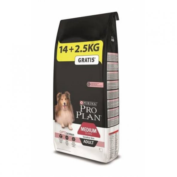 Pro Plan Medium Somonlu Yetişkin Köpek Maması 16,5 Kg