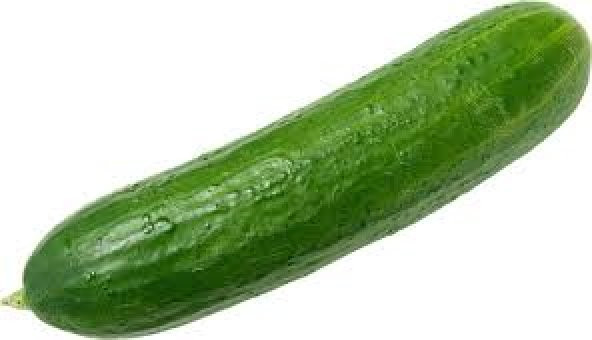 Salatalık, Hıyar (1Kg) Cucumber