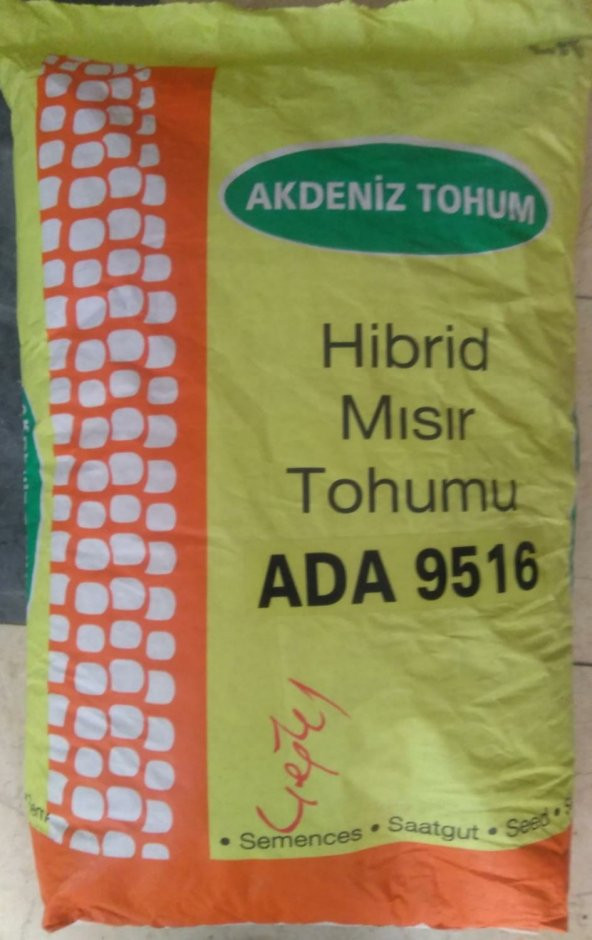 Hibrit Mısır Tohumu ADA 9516 Sertifikalı Tohum 50000 Adet