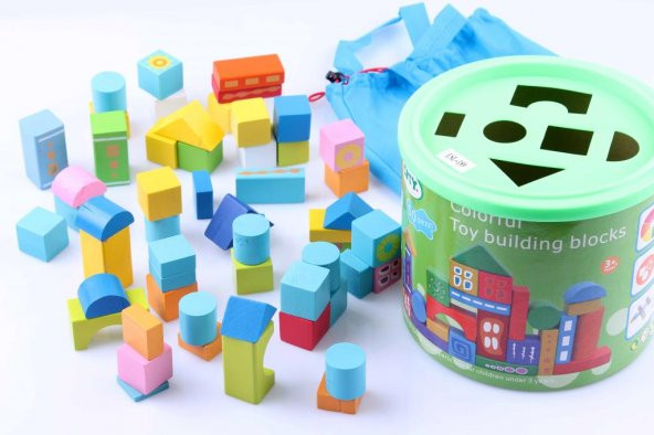 50 PCS Colourful Toy Building Blocks